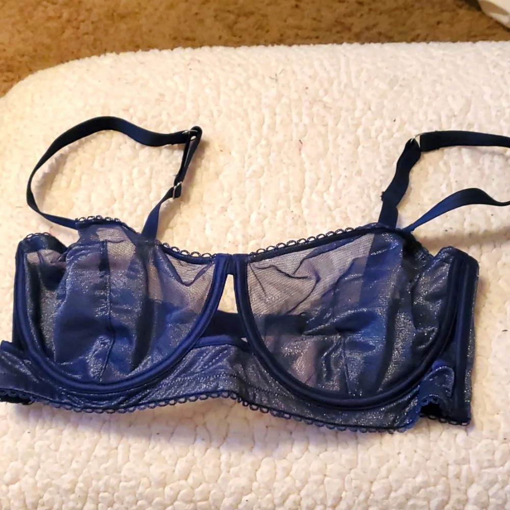 Sheer and shiny, under wire design, barely worn - Picture 1 of 4